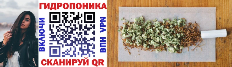 Купить Тосно Псилоцибиновые грибы  COCAIN  mega ТОР  Каннабис  СК  Гашиш 