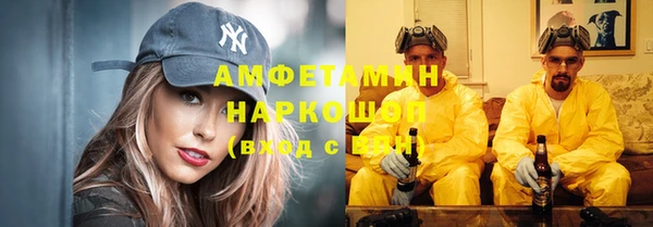 гидра Белокуриха