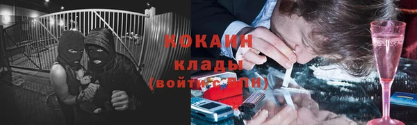 прущие грибы Пролетарск