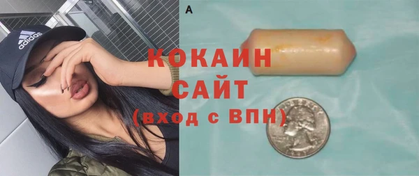 гидра Белокуриха