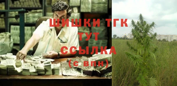 гидра Белокуриха