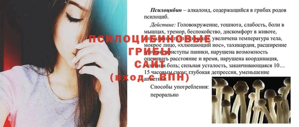 гидра Белокуриха