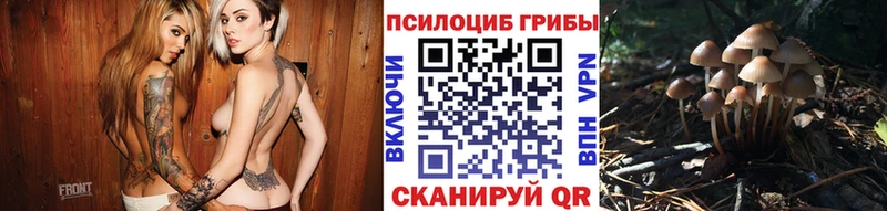 Галлюциногенные грибы мицелий Тосно